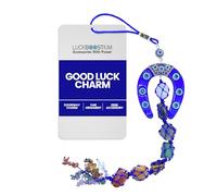 LUCKBOOSTIUM Portachiavi con occhio del male dei 7 chakra con pietra preziosa a ferro di cavallo, ornamento da appendere all'auto, accessorio per meditazione, ciondolo per zaino, amuleto spirituale