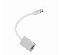 LUCKDANO Adattatore da Type-C a Mini USB 3.1 da Type-C a Mini DisplayPort - Connettore in Alluminio di Alta qualità - Compatibile con i Nuovi - Trasmissione 4K Ad Alta Definizione - Dati a (SILVER)