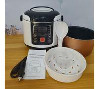 LUCKDANO Cuociriso Elettrico da 2 Litri Mini Cuociriso - Aggiornamento 2024 Piccolo Elettrico da 2 Litri con Funzione di Mantenimento in Caldo - Perfetto per -4 Persone - Portatile per Viaggi,