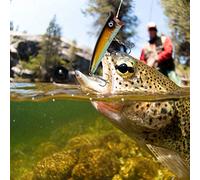LUCKDANO Esca da Pesca Artificiale Carpa Artificiale di Alta qualità da 7 Cm, Realizzata in Plastica ABS, Adatta Sia per Acqua Dolce Che Salata.Dispone di un Gancio Ad Alta Efficienza per Attirare