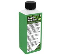 Lucky Bamboo fertilizzante liquido, nutrimento, concime per Dracaena Braunii, Dracaena Sanderiana, bambù, bambù a spirale, cinese, amicizia, pianta dea della Misericordia, pianta sempreverde belga