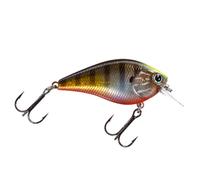 Lucky Craft Square Bill Crankbait 14gr 6cm SPECIALE BLACK BASS AGONISMO il top