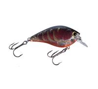 Lucky Craft Square Bill Crankbait 14gr 6cm SPECIALE BLACK BASS AGONISMO il top