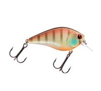 Lucky Craft Square Bill Crankbait 14gr 6cm SPECIALE BLACK BASS AGONISMO il top
