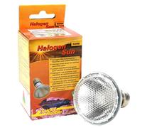 Lucky Reptile 63401 Halogen Sun 50 W, faretto alogeno per prese E27