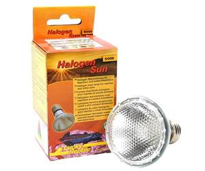 Lucky Reptile 63401 Halogen Sun 50 W, faretto alogeno per prese E27
