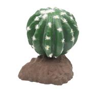 Lucky Reptile Cactus sferico