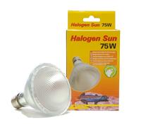 Lucky Reptile Halogen Sun lampada alogena attacco E27 per rettili