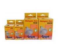 Lucky Reptile Halogen Sun lampada alogena attacco E27 per rettili