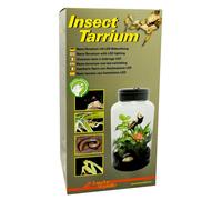 Lucky Reptile Insect-Tarrium 5L mini terrario per insetti e ragni