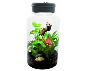 Lucky Reptile it-5 Insecttarrium, 5 litro