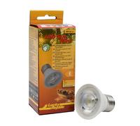 Lucky Reptile LED Sun Mini 5 Watt - Faretto Mini LED per Supporti E27 - Lampada per terrario con Potenza Luminosa Impressionante - Lampada per terrario - Illuminazione terrario 1 Pezzo