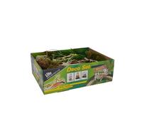 Lucky Reptile Life Experience Deco Set Mantis Decorazioni Insetti Tropicali