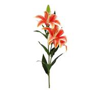 Lucky Reptile Scape it Easy - Giglio Arancione ca. 55 cm - Pianta Decorativa per terrari