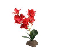 Lucky Reptile Scape it Easy - Orchidea Grande Rosso, ca. 30 cm - Pianta Decorativa per terrari