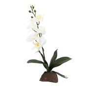 Lucky Reptile Scape it Easy - Orchidea Piccola Bianca, ca. 35 cm - Pianta Decorativa per terrari