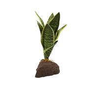 Lucky Reptile Scape it Easy - Sanseviera ca. 20 cm - Pianta Decorativa per terrari