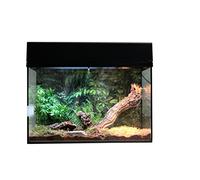 Lucky Reptile - Starter Kit per ragni e scorpioni 50 cm - Set completo con terrario per tarantole - Kit terrario di qualità e accessori da principianti - Starter set ragni e scorpioni nero