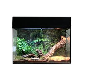 Lucky Reptile - Starter Kit per ragni e scorpioni 50 cm - Set completo con terrario per tarantole - Kit terrario di qualità e accessori da principianti - Starter set ragni e scorpioni nero