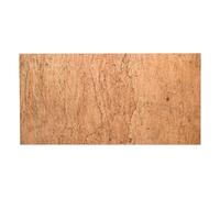 Lucky Reptile Sughero Desert