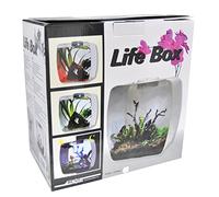 Lucky Rettile Life Box terrario Design