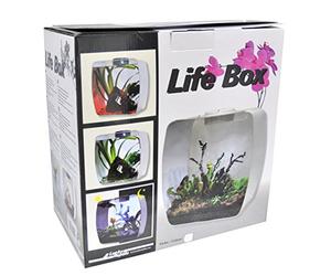 Lucky Rettile Life Box terrario Design