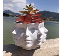 LuckyVin Vaso per piante grasse multifaccia, decorazione per la casa, vaso per cactus da interno