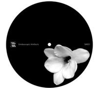 Lucy - Churches Schools & Guns Remixed