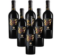 Ludi Offida DOCG vino rosso 6 bottiglie cl. 75 Velenosi