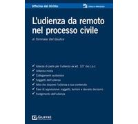 L'udienza da remoto nel processo civile