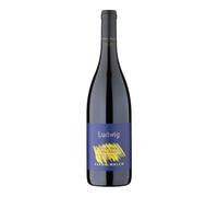 Ludwig Pinot Nero 2023 Alto Adige DOC Elena Walch
