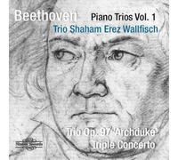 Beethoven/ Trio Shahm Erez Wallfisch - Piano Trio 1