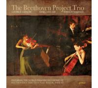 Ludwig van Beethoven The Beethoven Project Trio (CD) Album