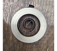 Lueao Zixinz-Molle di Compressione Molla a Spirale a Spirale a Filo Piatta, Spessore 0,25 mm * 8mm Larghezza * 5000mm Lunghezza * Diametro di 45 mm, buona flessibilità