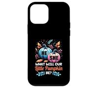 Lui o Lei What Will Our Little Pumpkin Be Autumn Baby Shower Custodia per iPhone 12 mini