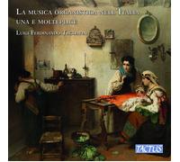 Luigi Ferdinando Tagliavi La Musica Organistica Nell'Italia Una E Moltepli (CD)
