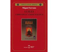 Luilei libro dell'amore magico