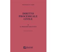 Luiso Diritto Processuale Civile Iii: Vol. 3