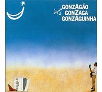 Luiz Gonzaga Jr. - Luizinho De Gonzaga