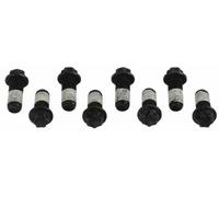 Set di viti, volano LUK 411 0120 10