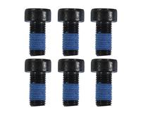 Set di viti, volano LUK 411 0122 10