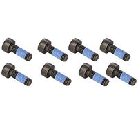 Luk 411 0124 10 Kit Bulloni per Volano