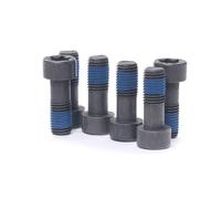 Set di viti, volano LUK 411 0132 10