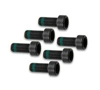 Set di viti, volano LUK 411 0133 10