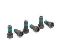 LuK 411 0133 10 Kit bulloni, Volano