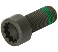 Set di viti, volano LUK 411 0133 11