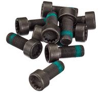 Set di viti, volano LUK 411 0133 12