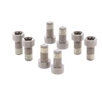 Set di viti, volano LUK 411 0148 10