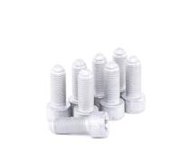 Set di viti, volano LUK 411 0150 10