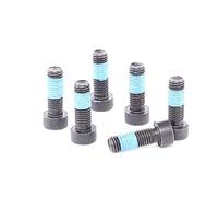 LuK 411016910 - Kit bulloni volano frizione